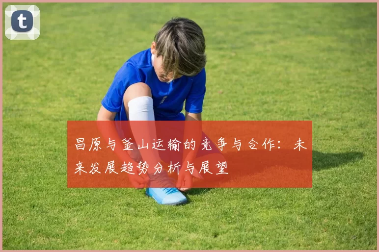 昌原与釜山运输的竞争与合作：未来发展趋势分析与展望