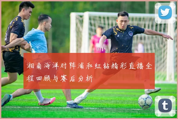 湘南海洋对阵浦和红钻精彩直播全程回顾与赛后分析