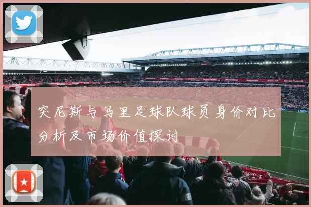 突尼斯与马里足球队球员身价对比分析及市场价值探讨