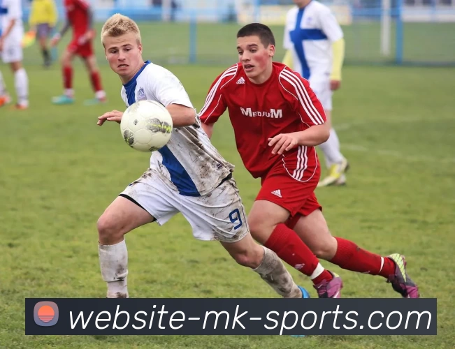 MK体育服务体系